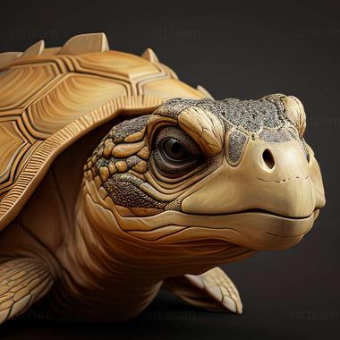 3D model Megalochelys (STL)